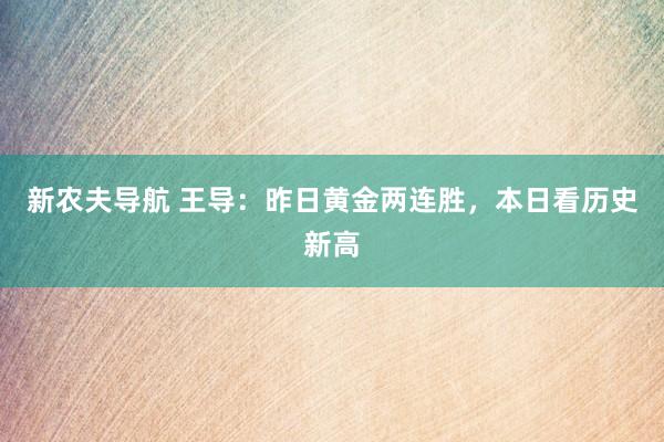 新农夫导航 王导：昨日黄金两连胜，本日看历史新高