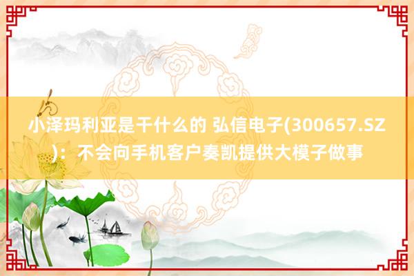 小泽玛利亚是干什么的 弘信电子(300657.SZ)：不会向手机客户奏凯提供大模子做事