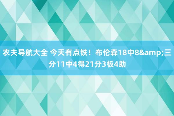 农夫导航大全 今天有点铁！布伦森18中8&三分11中4得21分3板4助