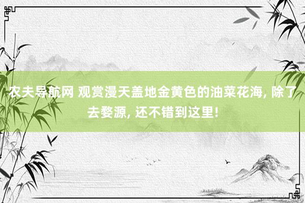 农夫导航网 观赏漫天盖地金黄色的油菜花海, 除了去婺源, 还不错到这里!