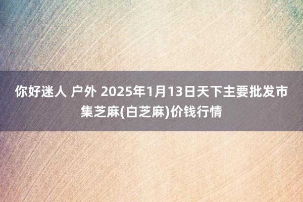 你好迷人 户外 2025年1月13日天下主要批发市集芝麻(白芝麻)价钱行情